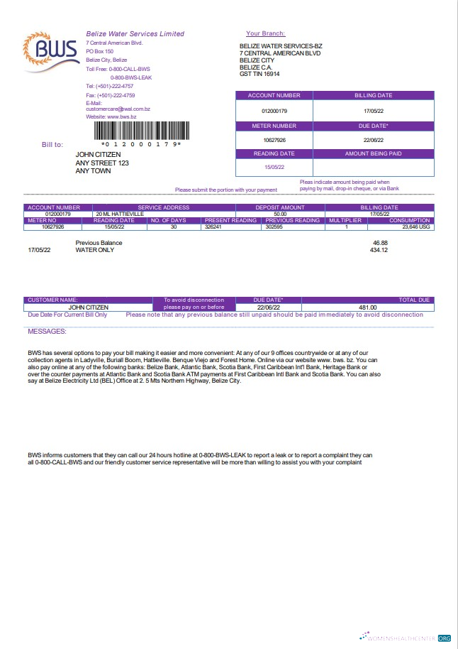 download Belize Water Services Limited utility bill template in Word and PDF format PDF template